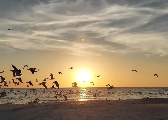 Ferienhaus Pelican Pointe 2a Clearwater Beach